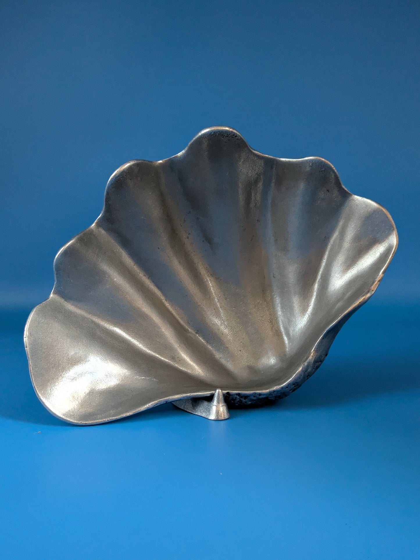 Large Shell