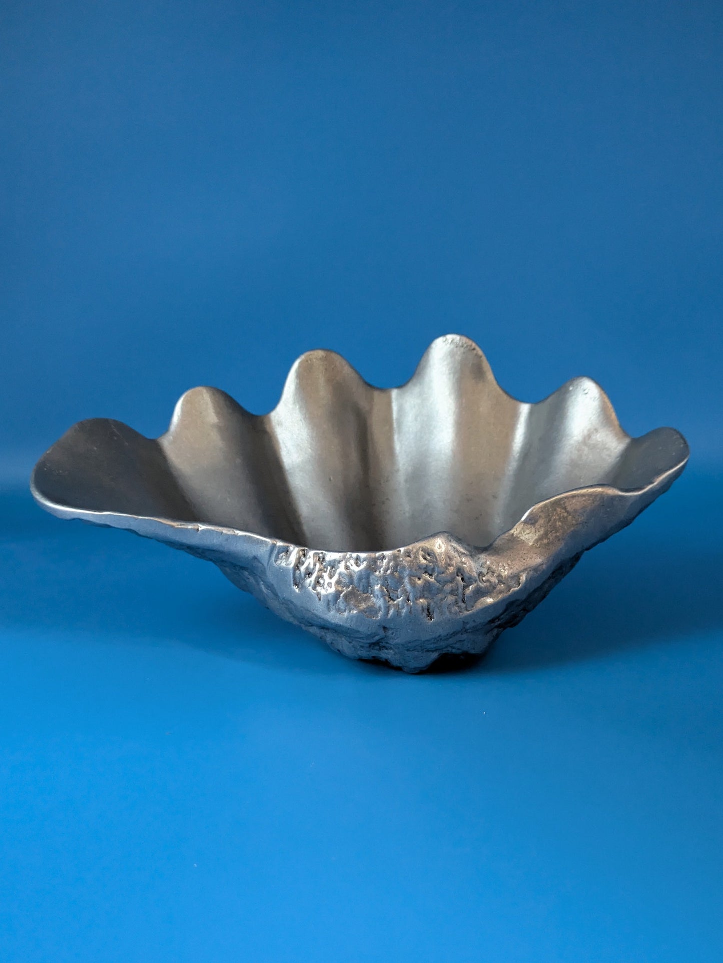 Large Shell
